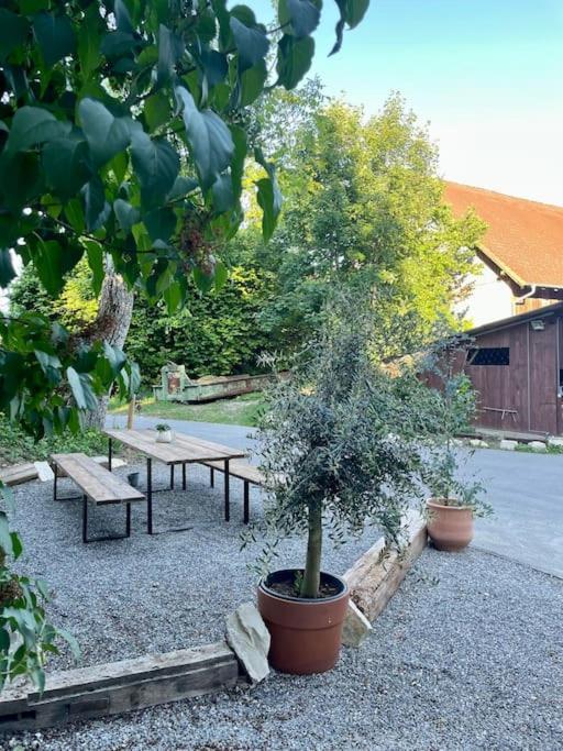 Zauberhafte Ferienscheune Im Hofgut Alte Oelmuehle เอนเงน ภายนอก รูปภาพ
