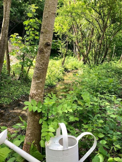 Zauberhafte Ferienscheune Im Hofgut Alte Oelmuehle เอนเงน ภายนอก รูปภาพ